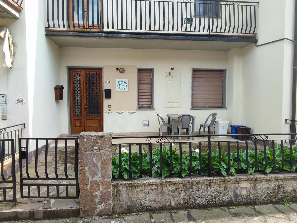 Tuscany Break Gallicano Εξωτερικό φωτογραφία